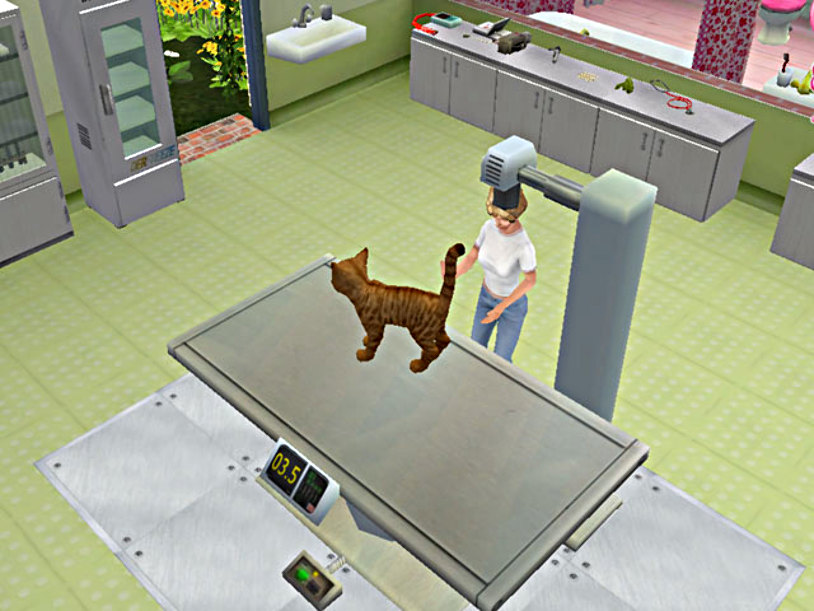 pet hospital near me - Ilustrasi 2