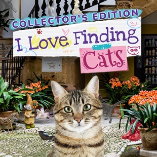 I Love Finding Cats! Collector's Edition
