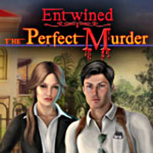 Entwined: The Perfect Murder