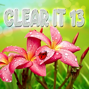 Clear It 13
