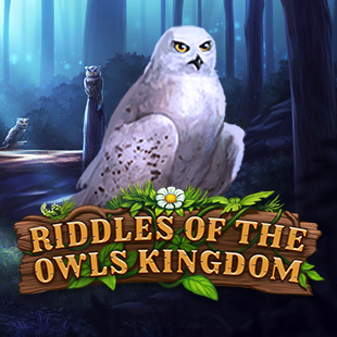 Riddles of the Owls Kingdom