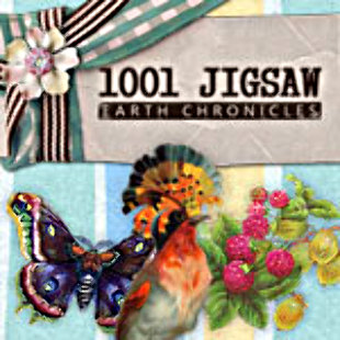 1001 Jigsaw Earth Chronicles