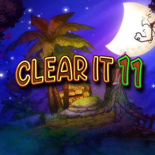 Clear It 11