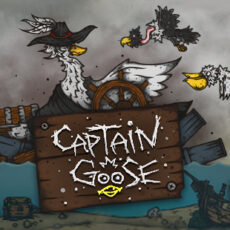Captain Goose