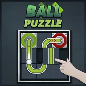 Ball Puzzle