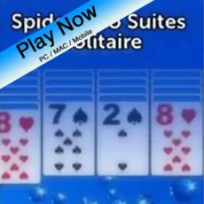 Spider Two Suites - Solitaire