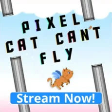 Pixel Cat Can't Fly