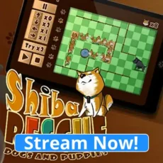 Shiba Rescue : Dogs and Puppies