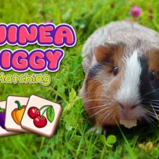 Guinea Piggy Matching