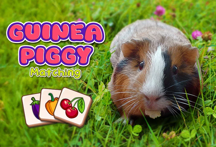 Guinea Piggy Matching